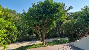 A garden area with a tree bearing fruit, a paved walkway, and a metal spiral staircase. - 5 mns from the sea and 10 mns from Perpignan by car, 2-room apartment in the heart of nature. (Canet-en-Roussillon)
