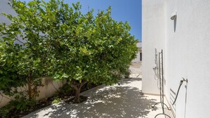 Un passatge exterior estret amb un camí arbrat, una paret blanca i una manguera d'aigua a la dreta.