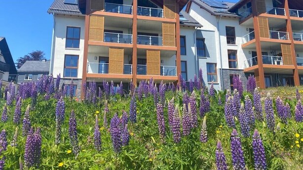 Un bâtiment moderne doté de nombreux balcons et d’un jardin agrémenté de fleurs violettes.