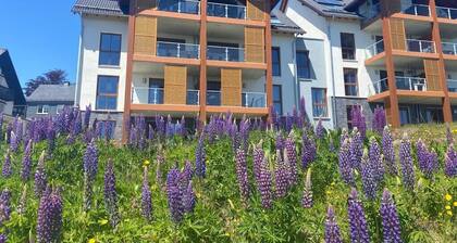 Appartement in Winterberg / Neuastenberg met uniek uitzicht en tuin