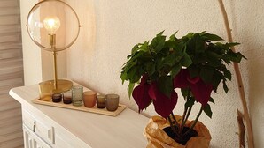 A white dresser with a plant in a paper bag, a lamp, and a wall-mounted branch with clothespins. - Apt - Empuriabrava hyper center, beach and shops, view on natural park and sea (Empuriabrava)