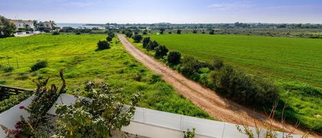 A rural landscape with a dirt road leading through green fields and a white building in the distance.