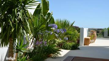 Jardines del alojamiento
