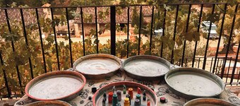 Eco-Finca Cueva del Gato, ideal for families with pets surrounded by nature.