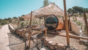 Un entorno rústico al aire libre con un espejo esférico grande, estructuras de madera y cielo despejado.