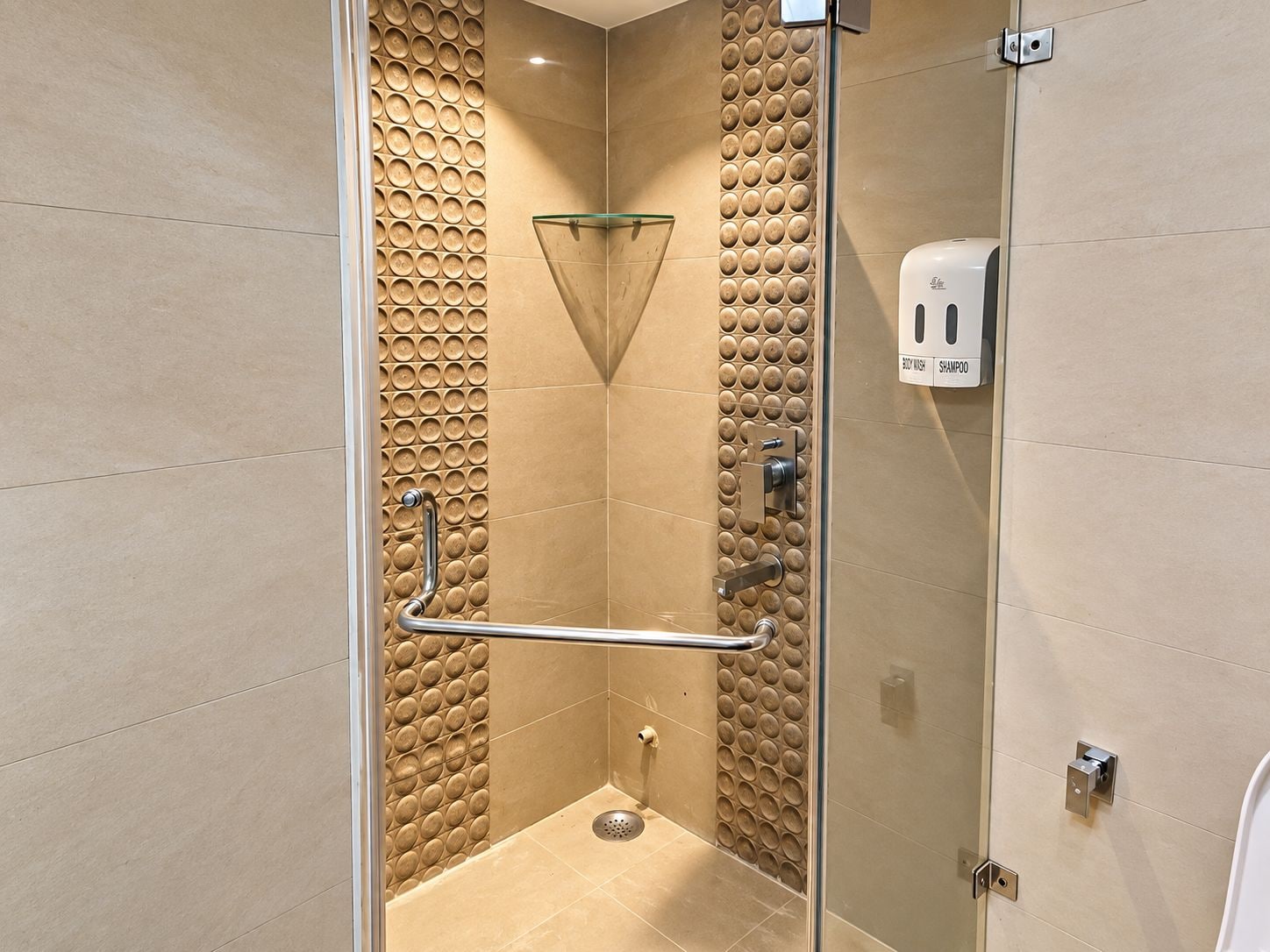 Une douche moderne dotée d’une porte en verre, d’une barre d’appui et d’un distributeur de savon.