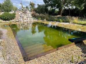 A rectangular pond with a wooden deck edge, surrounded by pebbles and various plants.