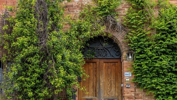 A brick building with a wooden double door, ivy-covered walls, and a small step leading to the entrance. - Pociano 1863 (Monteroni d'Arbia)