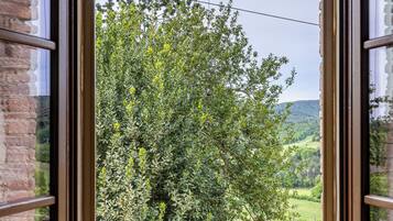 Una finestra con vista su un albero e un muro in mattoni.