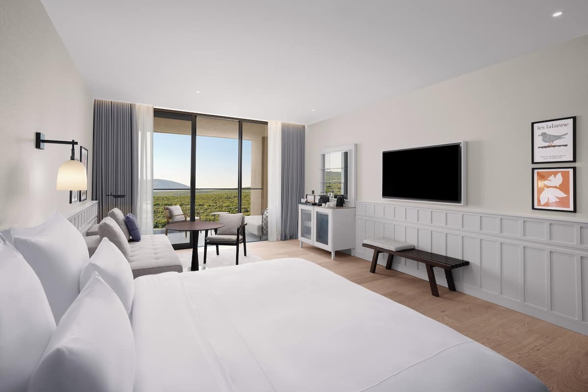 Camera d'albergo con un letto grande, una scrivania con uno specchio, una TV e vista sull'esterno.
