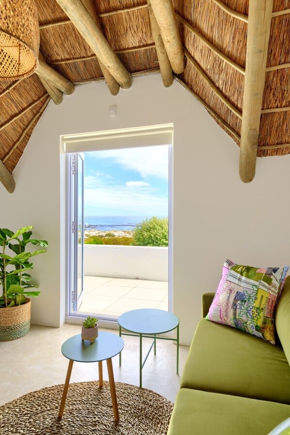 Smart TV, fireplace, books, music library