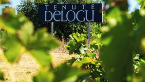 A sign with the text "TENUTE DELOGU" in a natural setting with greenery and a clear sky. - Tenute Delogu (Sassari)