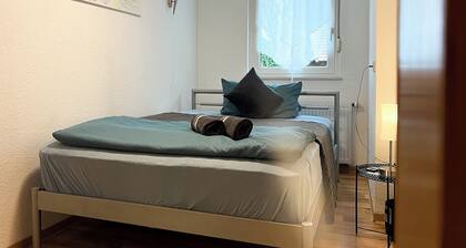Cozy 2-room apartment with excellent connections