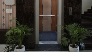 Une entrée d’ascenseur avec un mur en marbre, une main courante et deux plantes en pot.