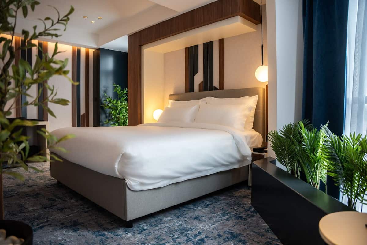 A modern hotel room with a large bed, a bedside table, a nightstand, and a potted plant.