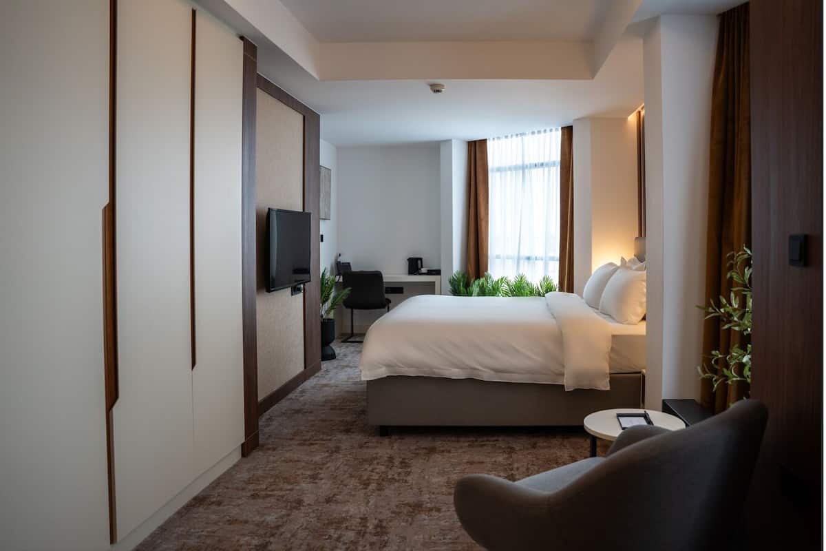 A hotel room with a bed, a desk, a chair, a television, and a plant.