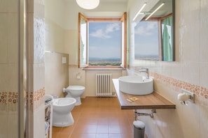 Shower, hair dryer, bidet