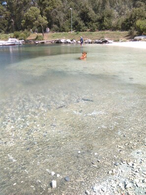 Beach nearby