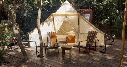 Viva Brotas Barbieri