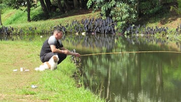 Pesca