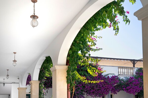 An arched corridor with hanging lights and flowering vines.