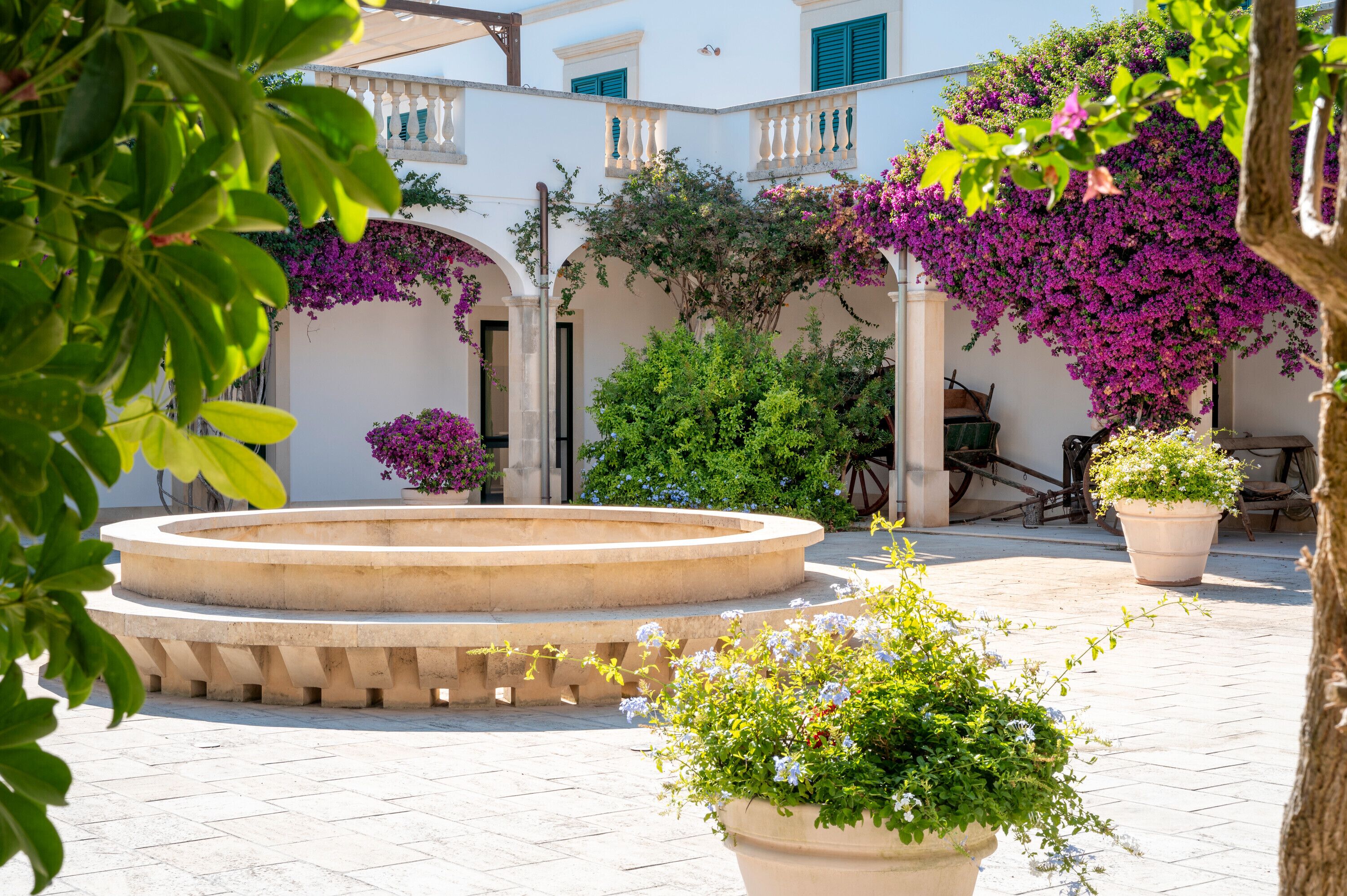 Terrein van de accommodatie