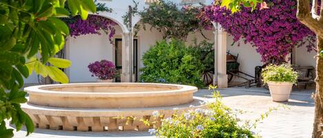 Terrein van de accommodatie