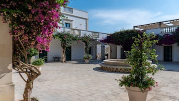 Terraço/pátio