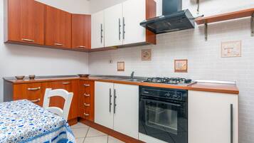 Fridge, stovetop, cookware/dishes/utensils