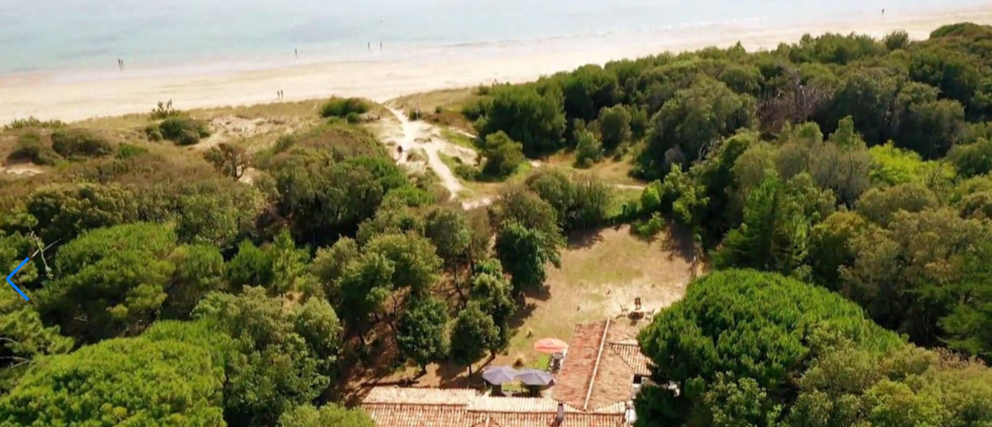 An aerial view of a coastal property with dense greenery, a beach in the background, and a building with a tiled roof and umbrellas.