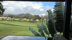 Vista de un campo de golf con cielo despejado, palmeras y montañas a lo lejos.