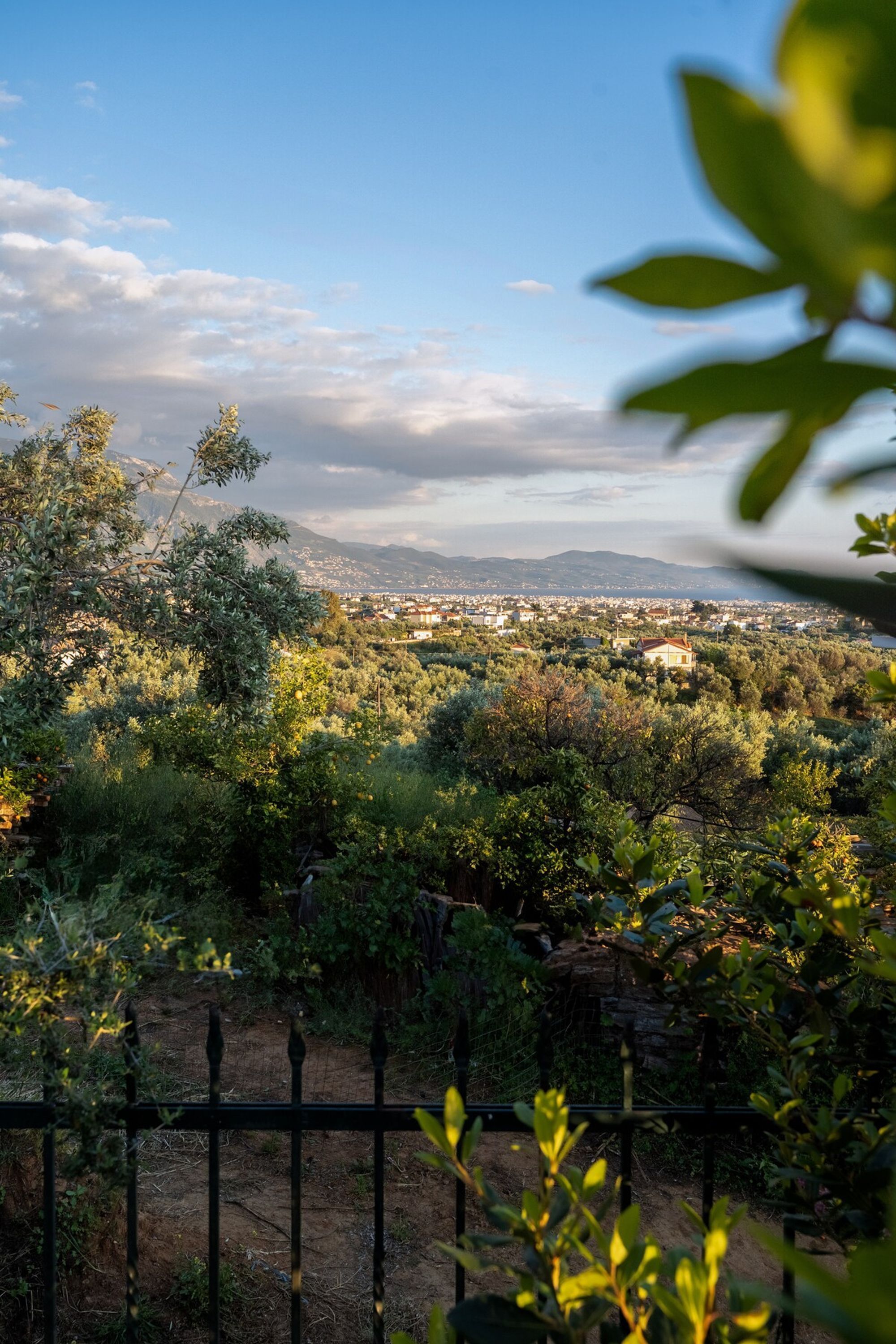 A rural landscape with a view of a town in the distance, surrounded by dense vegetation and a fence in the foreground.