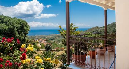 George s Panoramic View