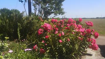 Enceinte de lâhĂ©bergement