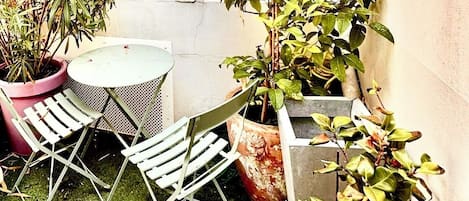 Terras