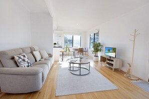 Télévision, cheminée, livres