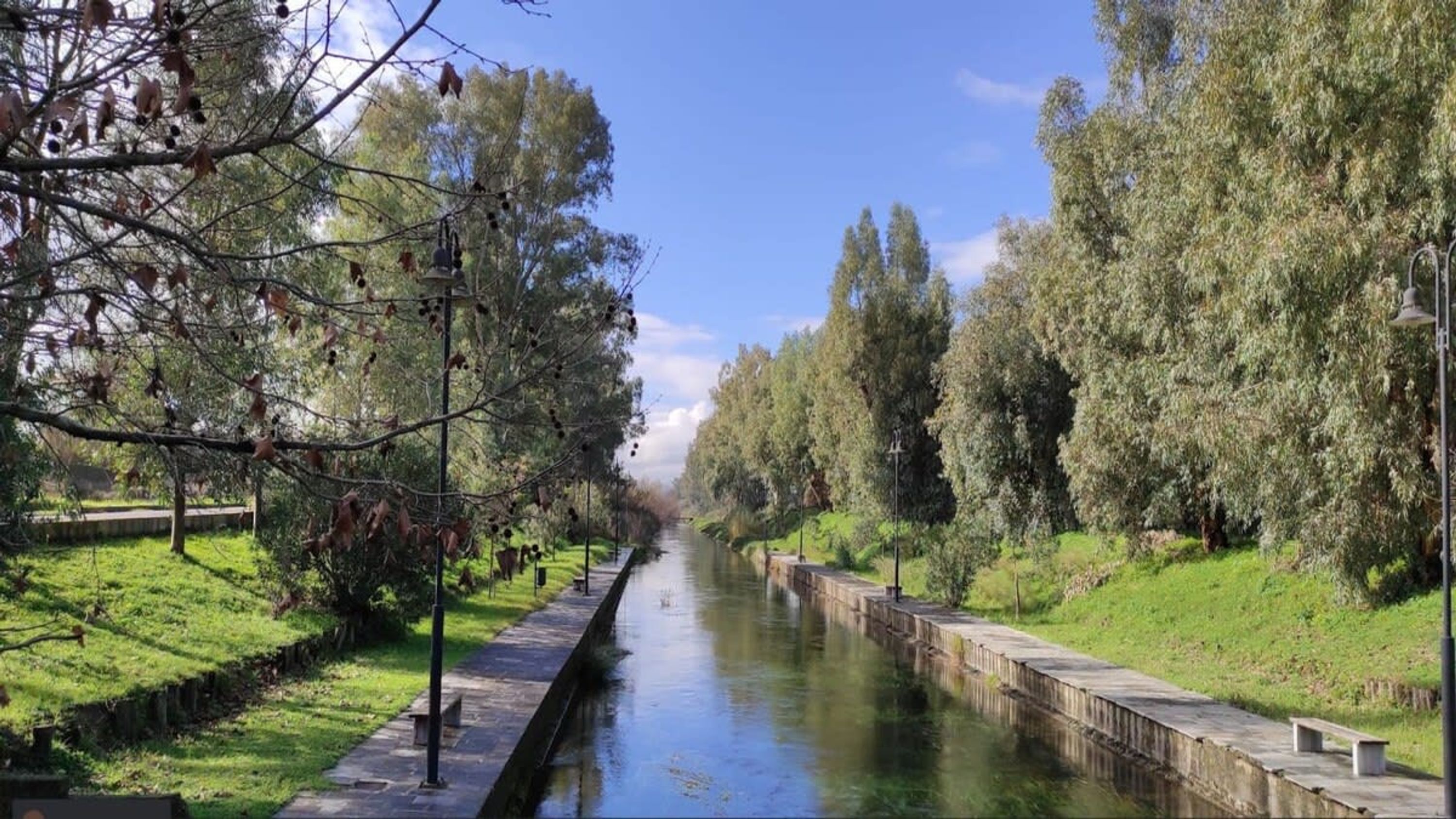 A narrow waterway flanked by trees and a paved walkway.