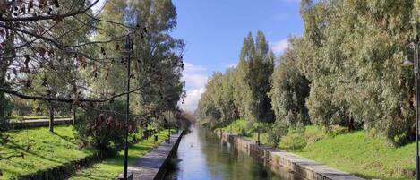 A narrow waterway flanked by trees and a paved walkway.