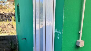 A green exterior wall with a door, a wooden deck, and a potted plant.