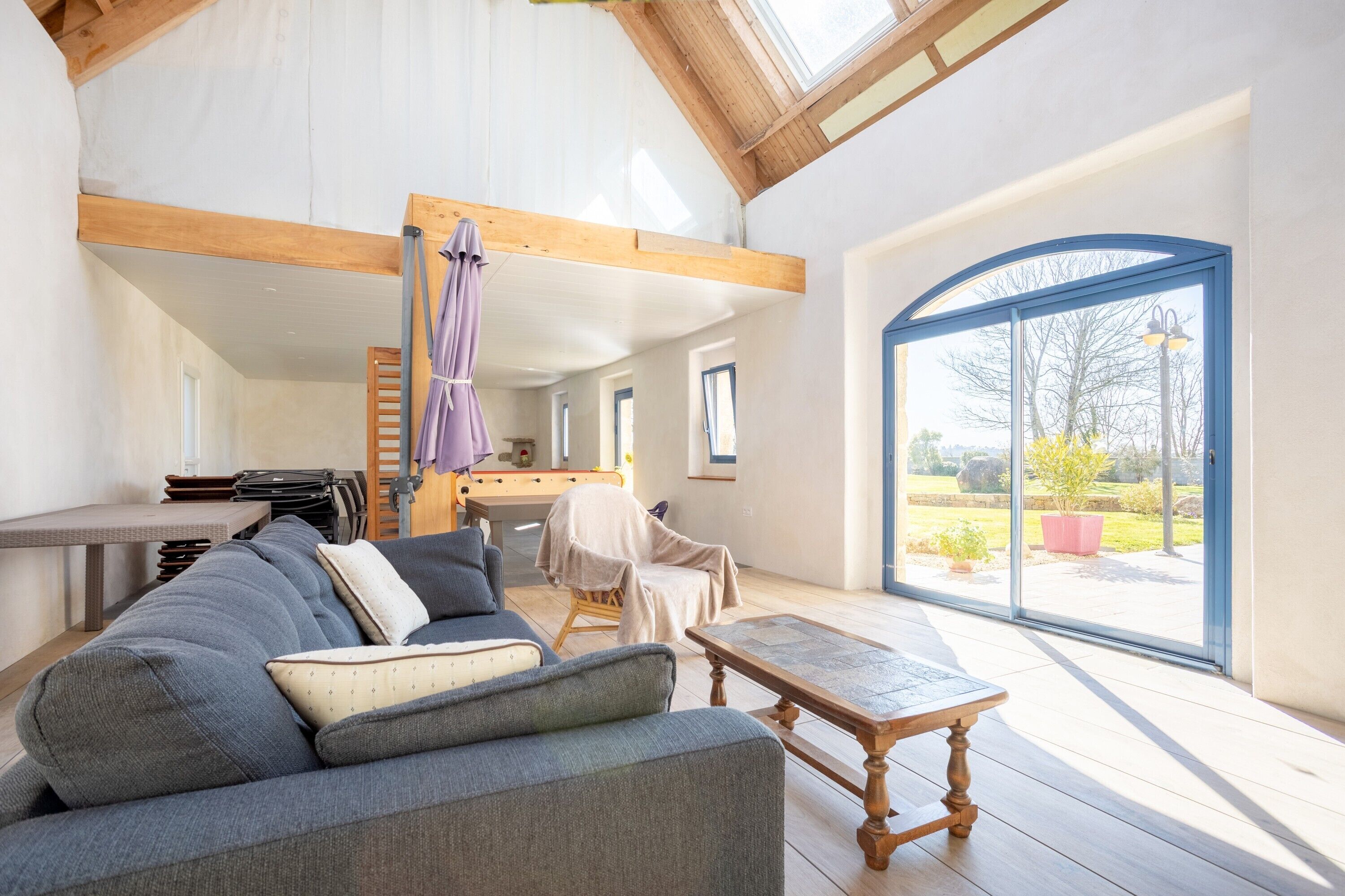 电视、壁炉、DVD 播放器、乒乓球