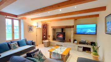 Télévision, cheminée, lecteur de DVD, table de tennis de table