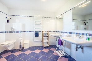 Shower, hair dryer, towels