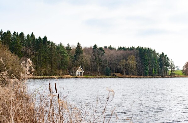 A lakeside cabin with a small dock, surrounded by dense forest and a calm lake.