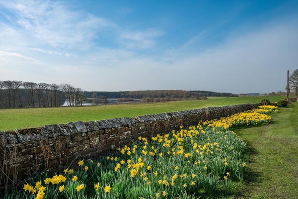 Lakeside Cottage, Alice - tranquil views of Sir Edward's Lake