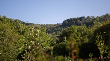A natural landscape with dense greenery and hills in the background.