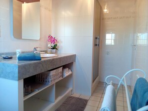 Shower, hair dryer, towels