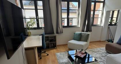Gallait Suites - Heart of Tournai with AC, WiFi..