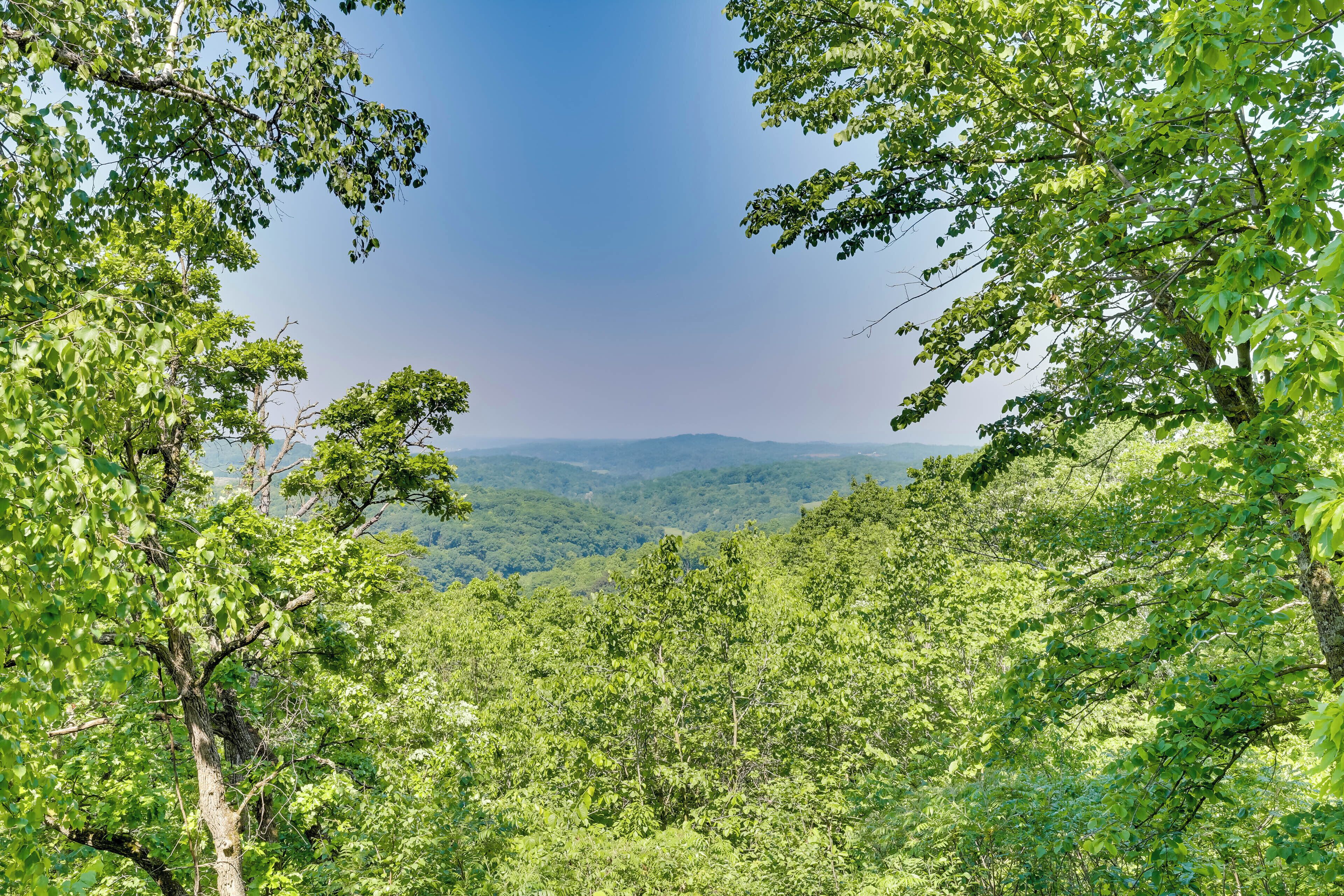 Un paysage boisé offrant une vue dégagée sur des collines lointaines.