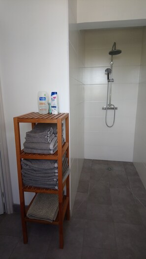 Shower, hair dryer, towels, soap