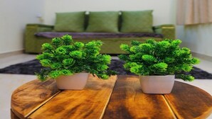Un salon avec une table ronde en bois au premier plan, deux plantes en pot, un canapé vert avec des coussins et un tableau accroché au mur.